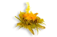 Herbata Kwitnąca ŚWIETLISTA JUTRZENKA